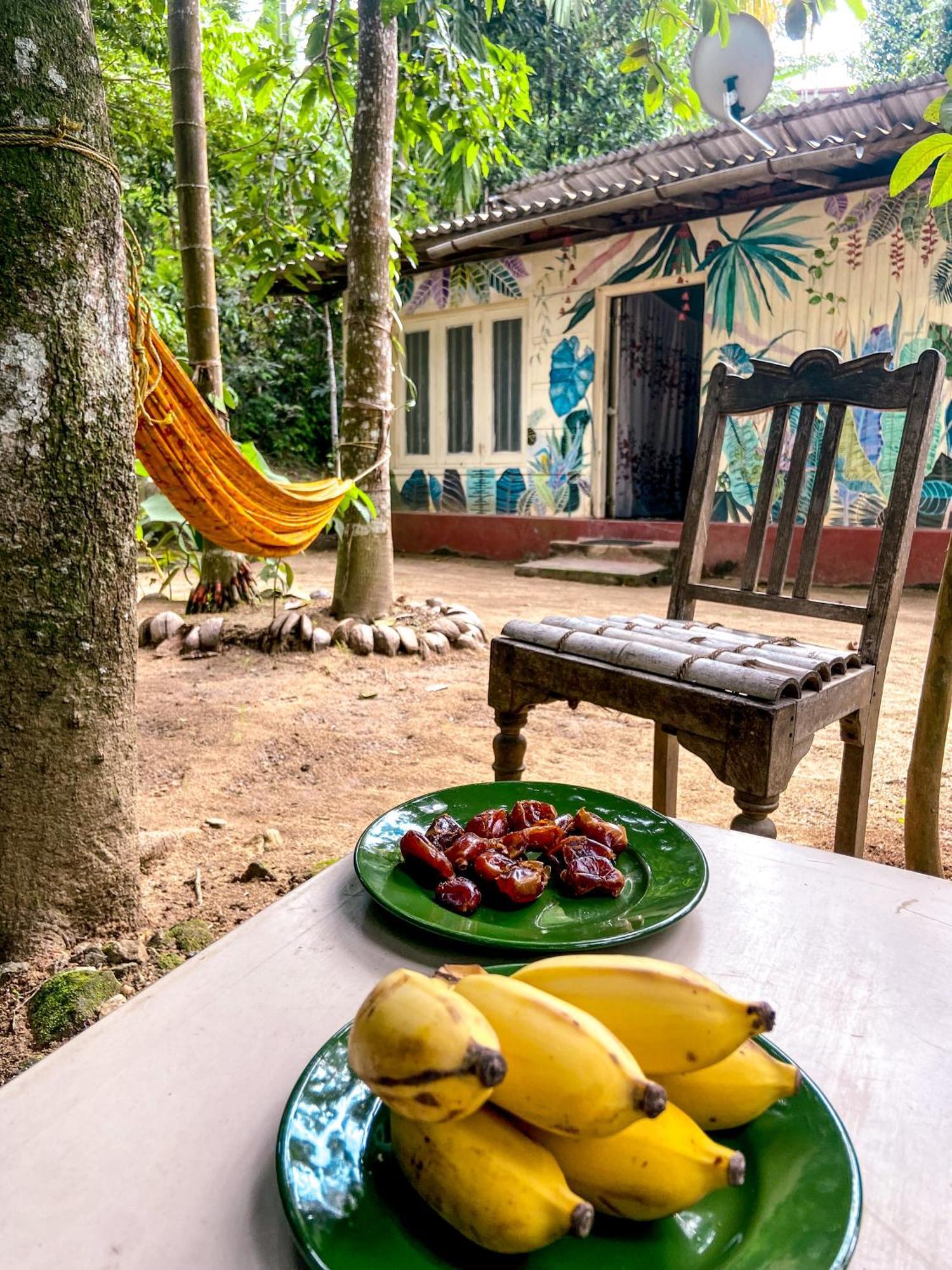 Catch The Ella Train Hostel Kandy Exterior foto